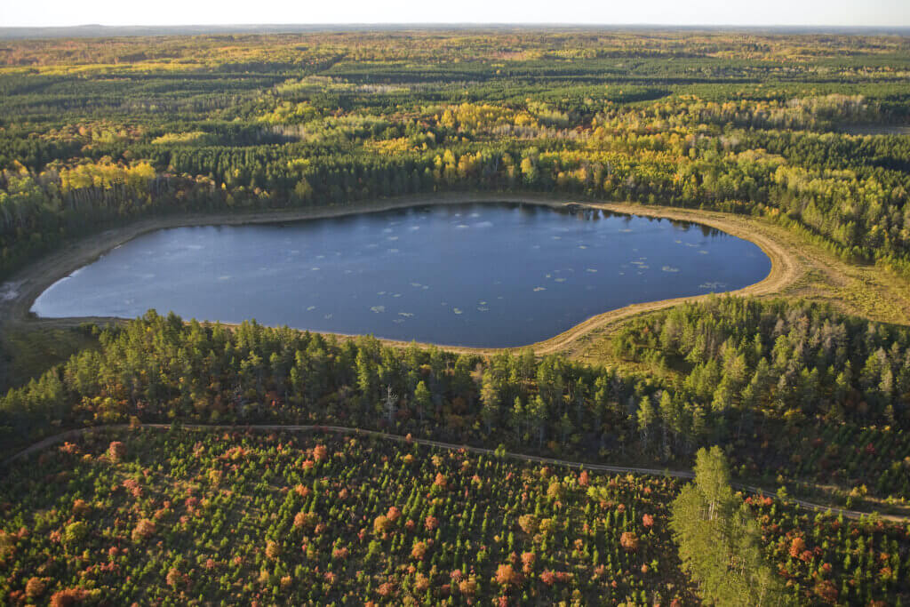 The St. Croix-Brule Legacy Forest with an aerial view of a small lake surrounded by trees.