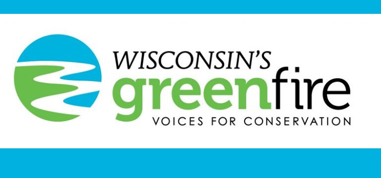 The WI Green Fire Logo