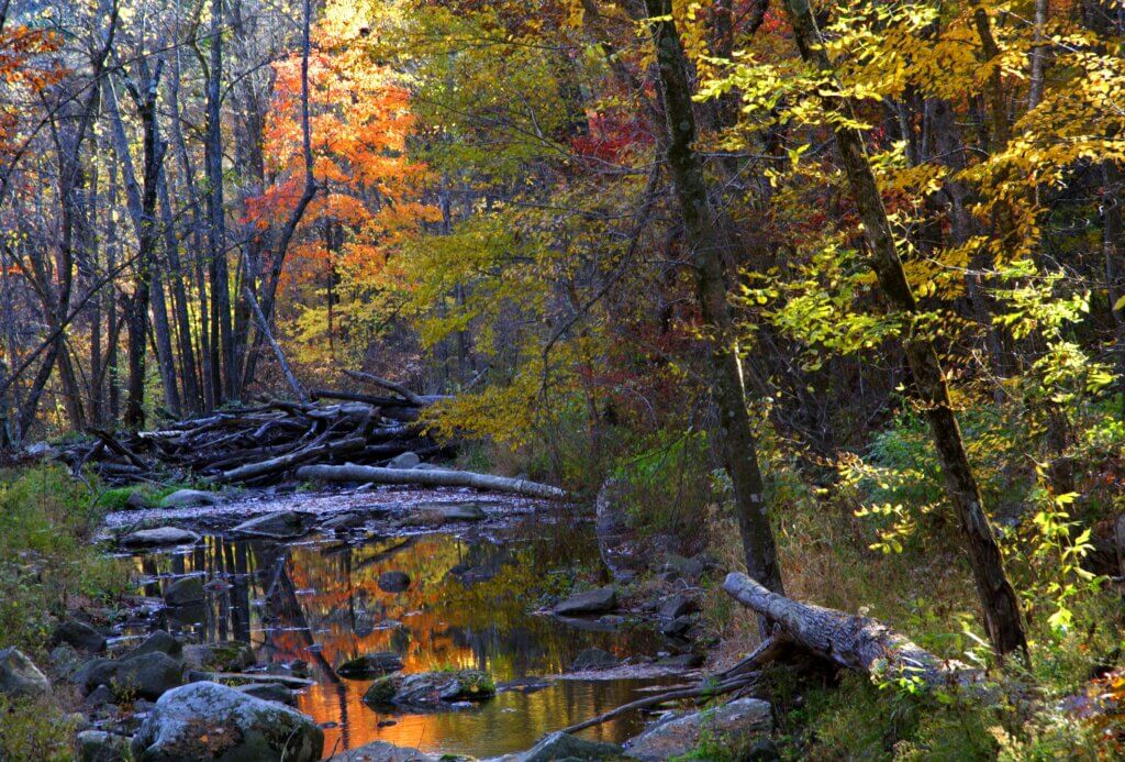 Fall foliage reflects in Otter Creek at Baxter's Hollow.