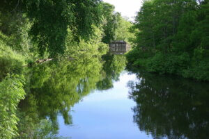 The Kinnickinnic River, where 40 acres of forest were recently conserved thanks to the Knowles-Nelson Stewardship Fund.