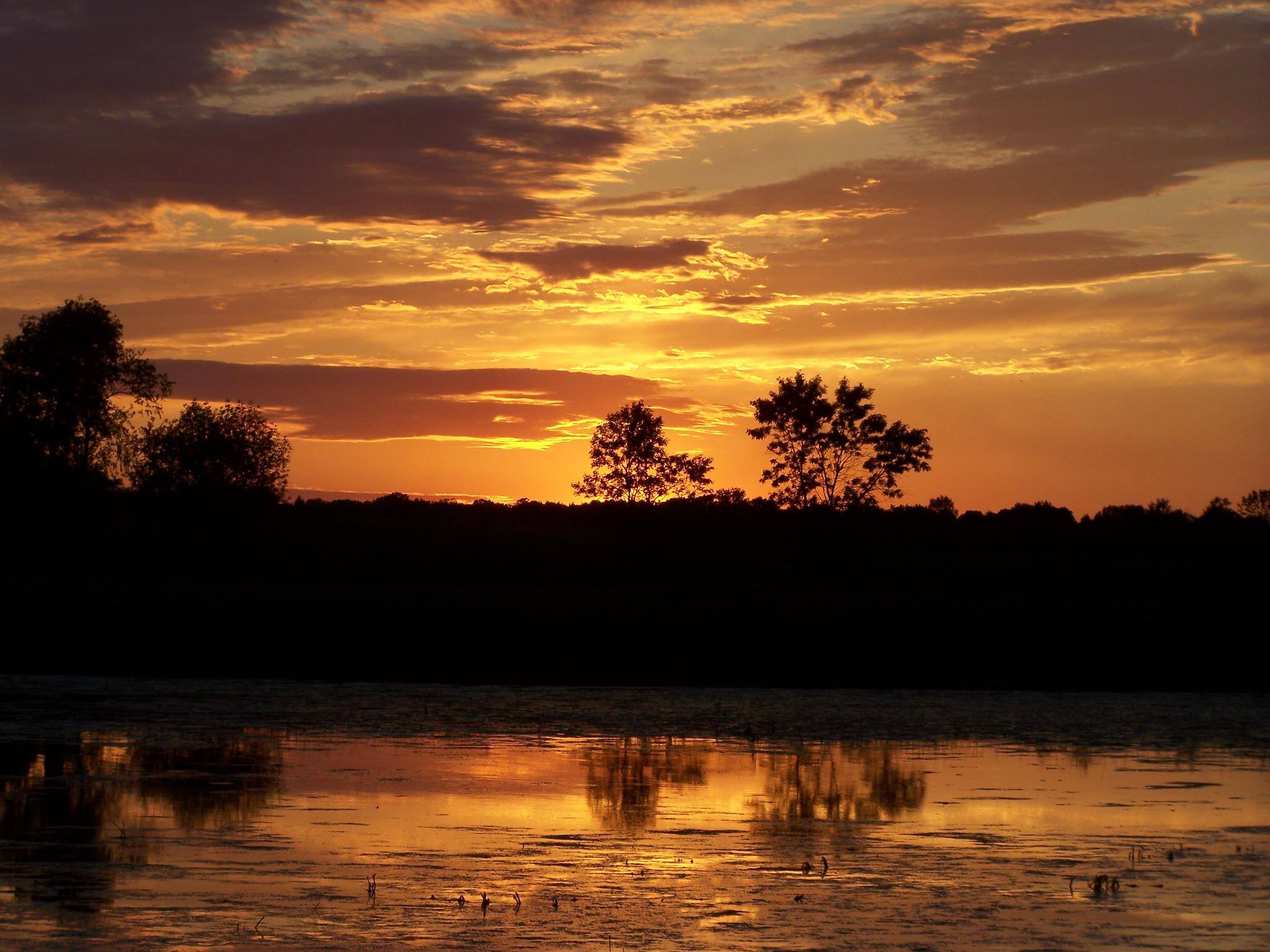 Sunset on a marsh in Wisconsin, where many similar habitats have been conserved through the Knowles-Nelson Stewardship Program.