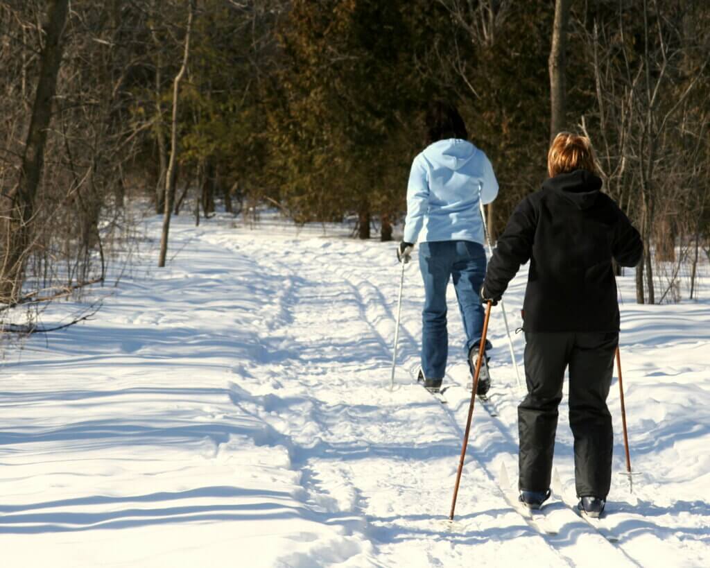 Two people cross-country skiing in a forest.