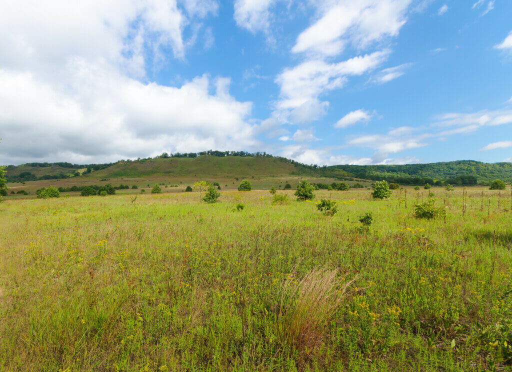 Spring Green Preserve with a large expanse of prairie with tall grass and brush.