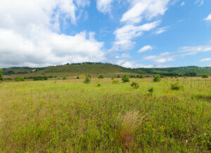 Spring Green Preserve, which Gov. Evers recently visited on a state tour of Knowles-Nelson projects.