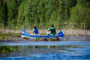Two canoers on the water in a marshy area surrounded by a forest.
