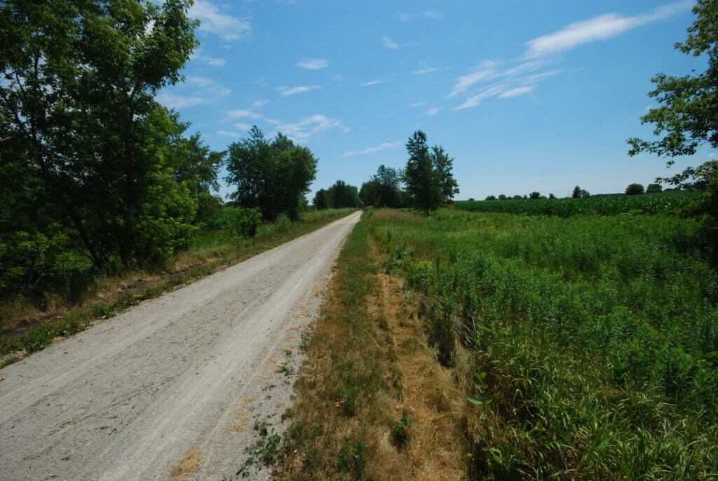 Knowles-Nelson Stewardship Program, flat gravel trail with bushes and grass on both sides and a blue sky with wispy white clouds during summer