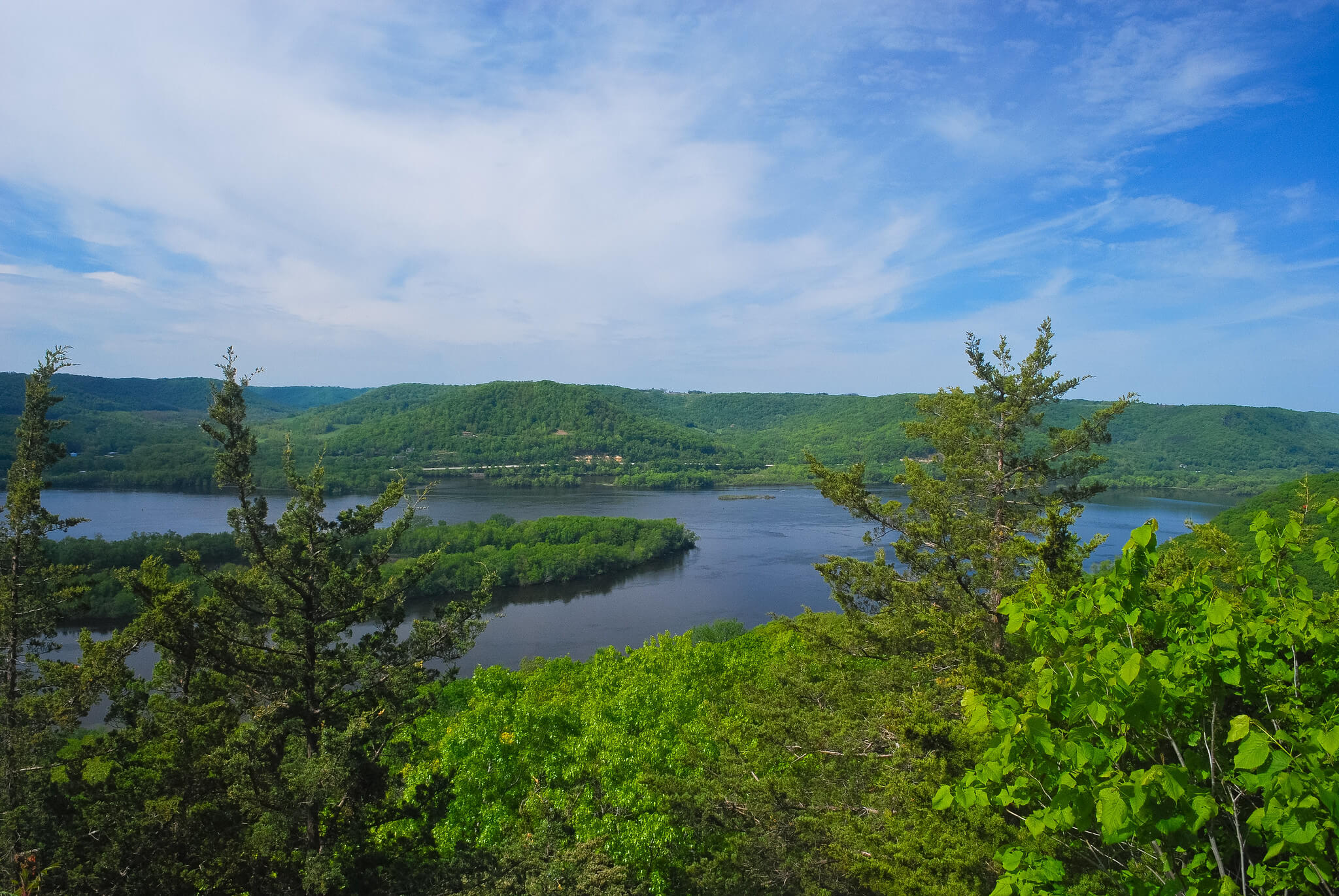 Knowles-Nelson Stewardship Program, view from a Missisippi River bluff looking down on the river surrounded by green bushes and trees in summer