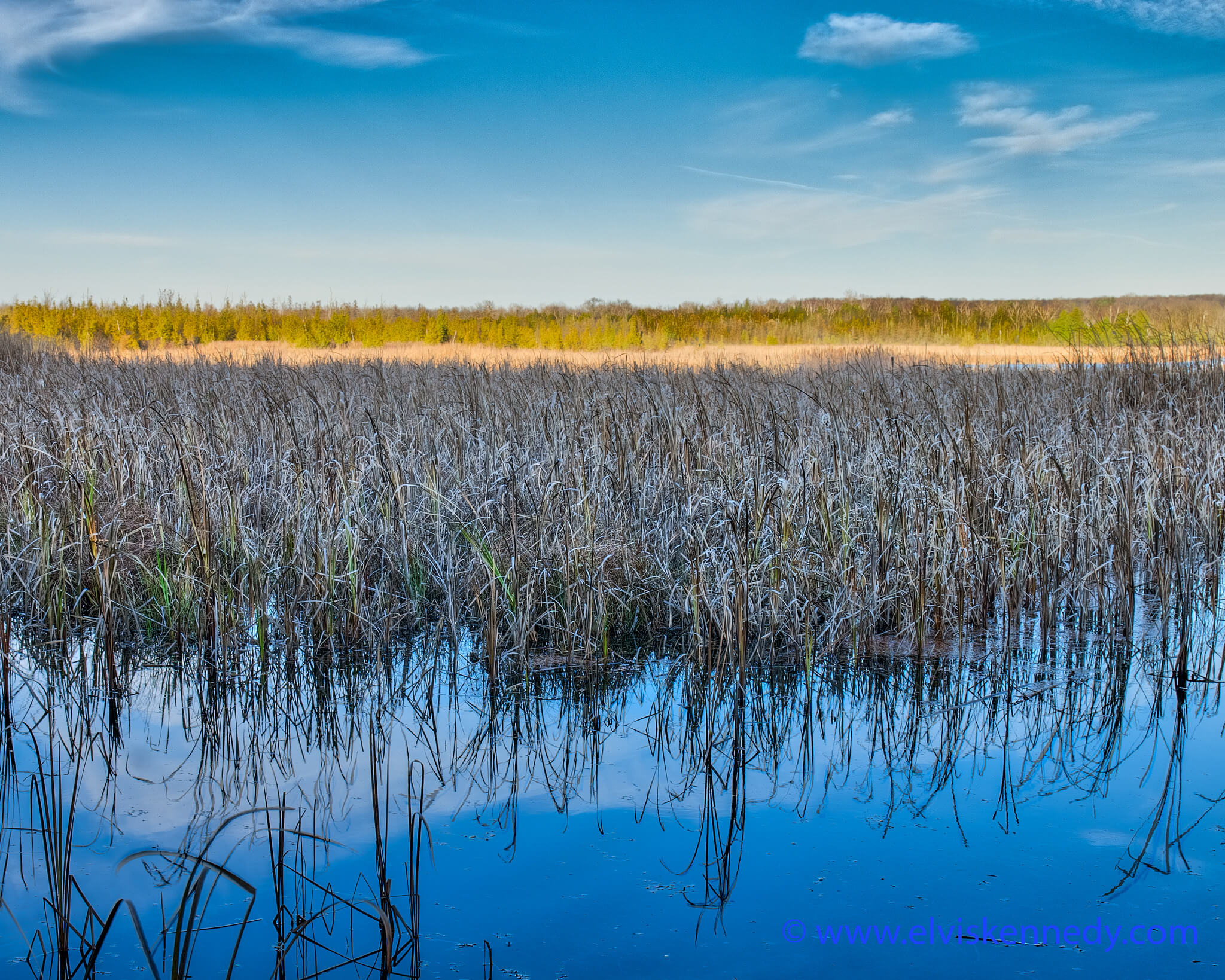 Knowles-Nelson Stewardship Program, shaded marsh in winter with blue sky and white wispy clouds in Baileys Harbor, Door County