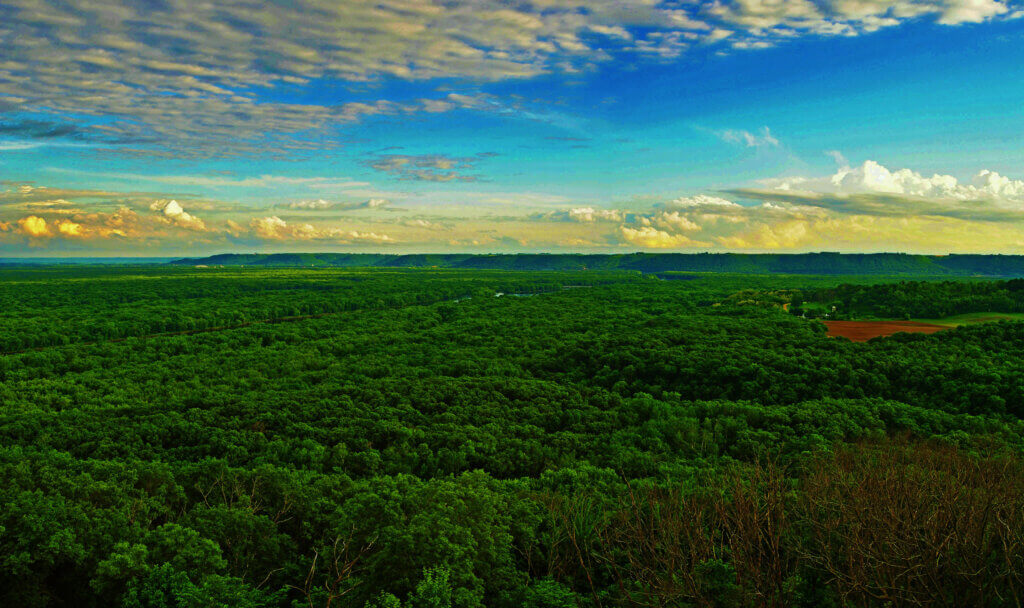 Knowles-Nelson Stewardship Program, panorama of Lower Chippewa River from a bird's eye view with lush green treetops and a blue sky with wispy gray clouds