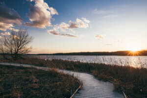 Knowles-Nelson Stewardship Program, Cherokee Marsh in the late afternoon as the sun is going down with a view of the boardwalk surrounded by marsh and open water with wispy clouds overhead
