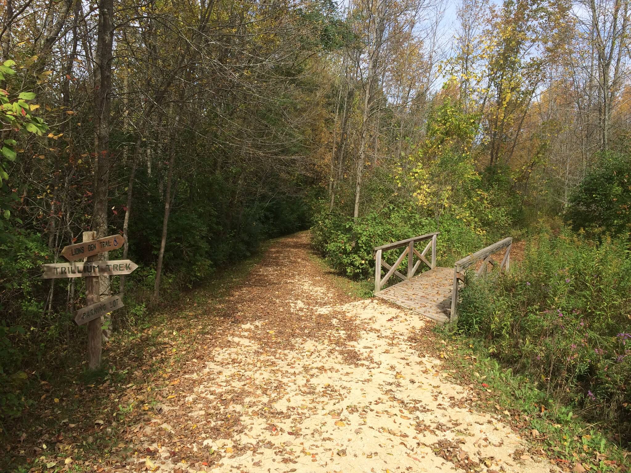 A gravel trail and small wooden boardwalk in Lion's Den Gorge Nature Preserve.