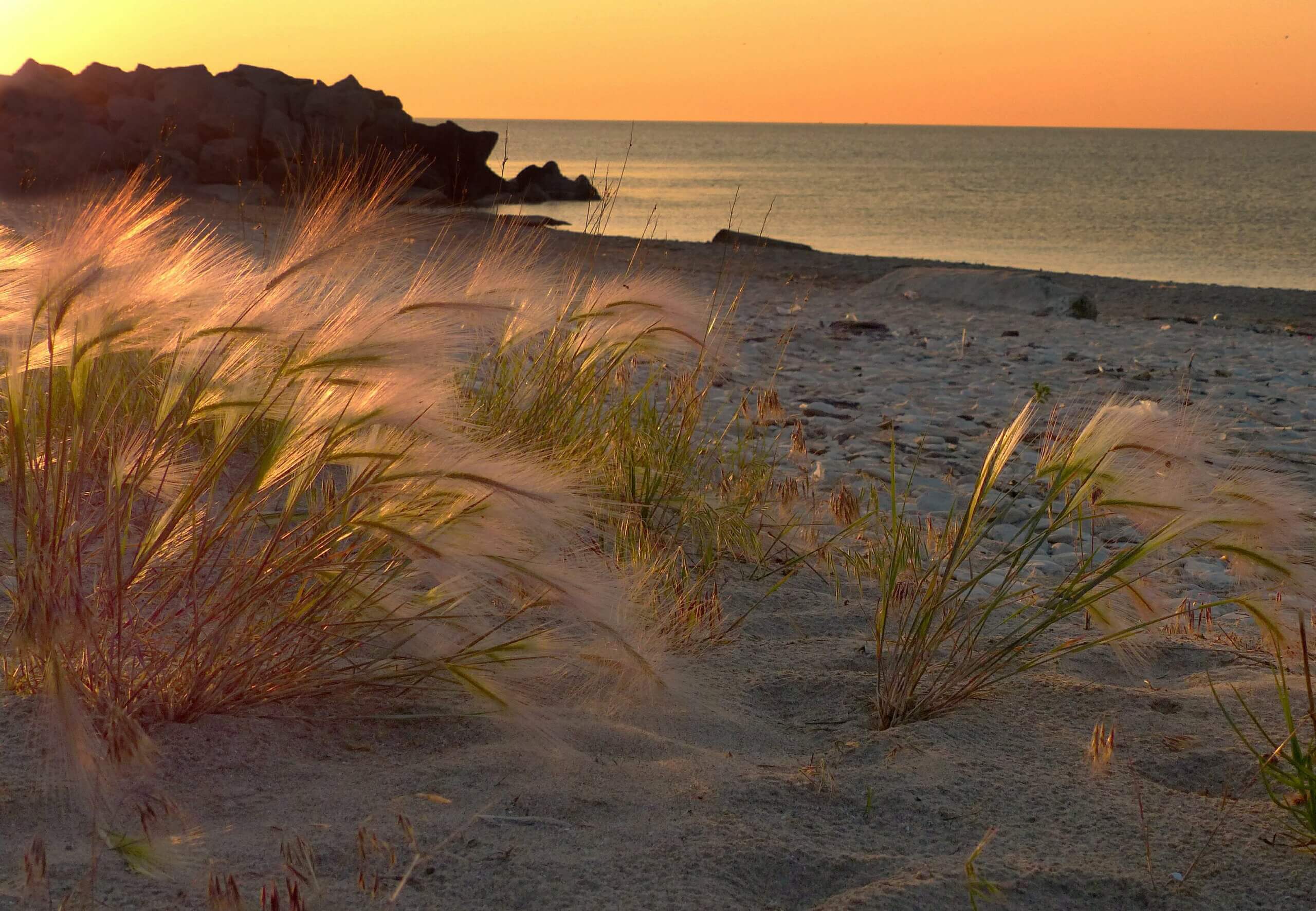 Sandy and rocky shoreline of Lake Michigan with scrub grass at dawn.