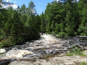Northwoods forest with a brisk flowing river and a bright blue sky.