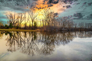 Dark water with the reflection of bare branches of trees at dusk with a cloudy orange/blue sky,