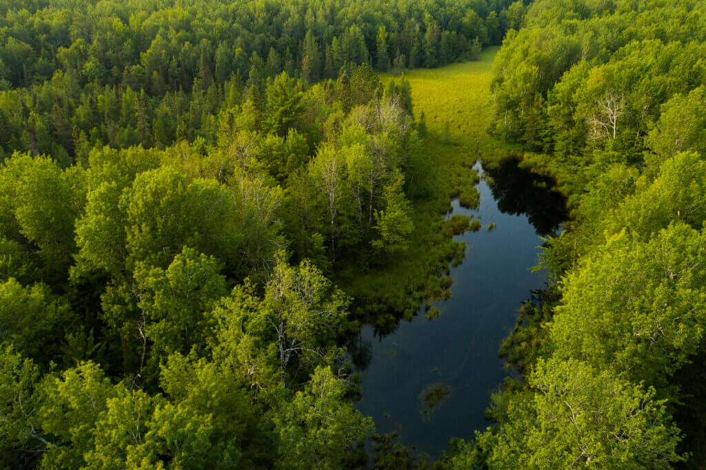 An aerial view of the Wolf River, which runs through the Pelican River Forest.