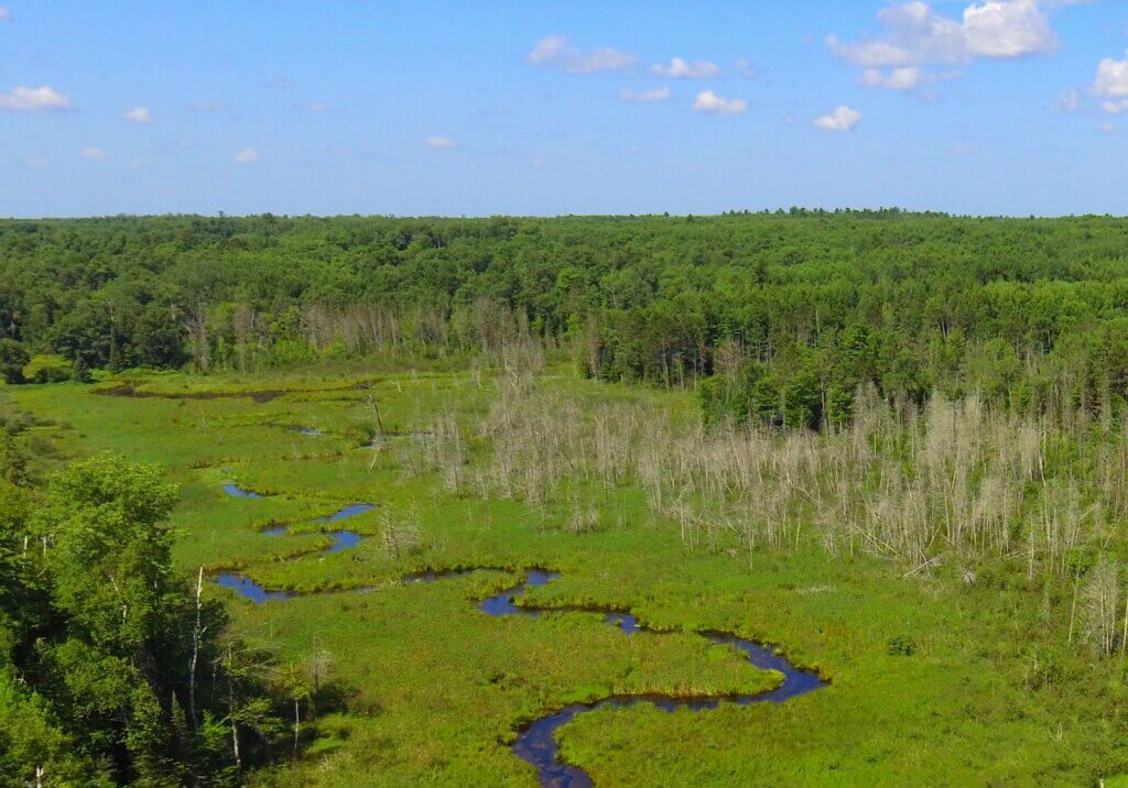 A blue stream meanders through a green bog area.