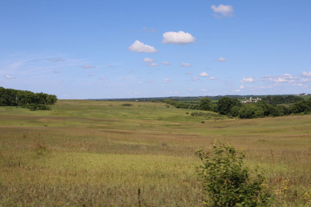 A wide open grassland prairie with blue sky and white clouds overhead.