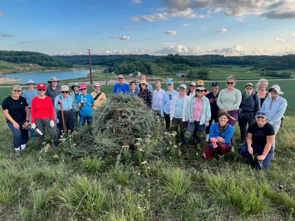 A group of volunteers standing around a brush pile in a grassland on a summer day.