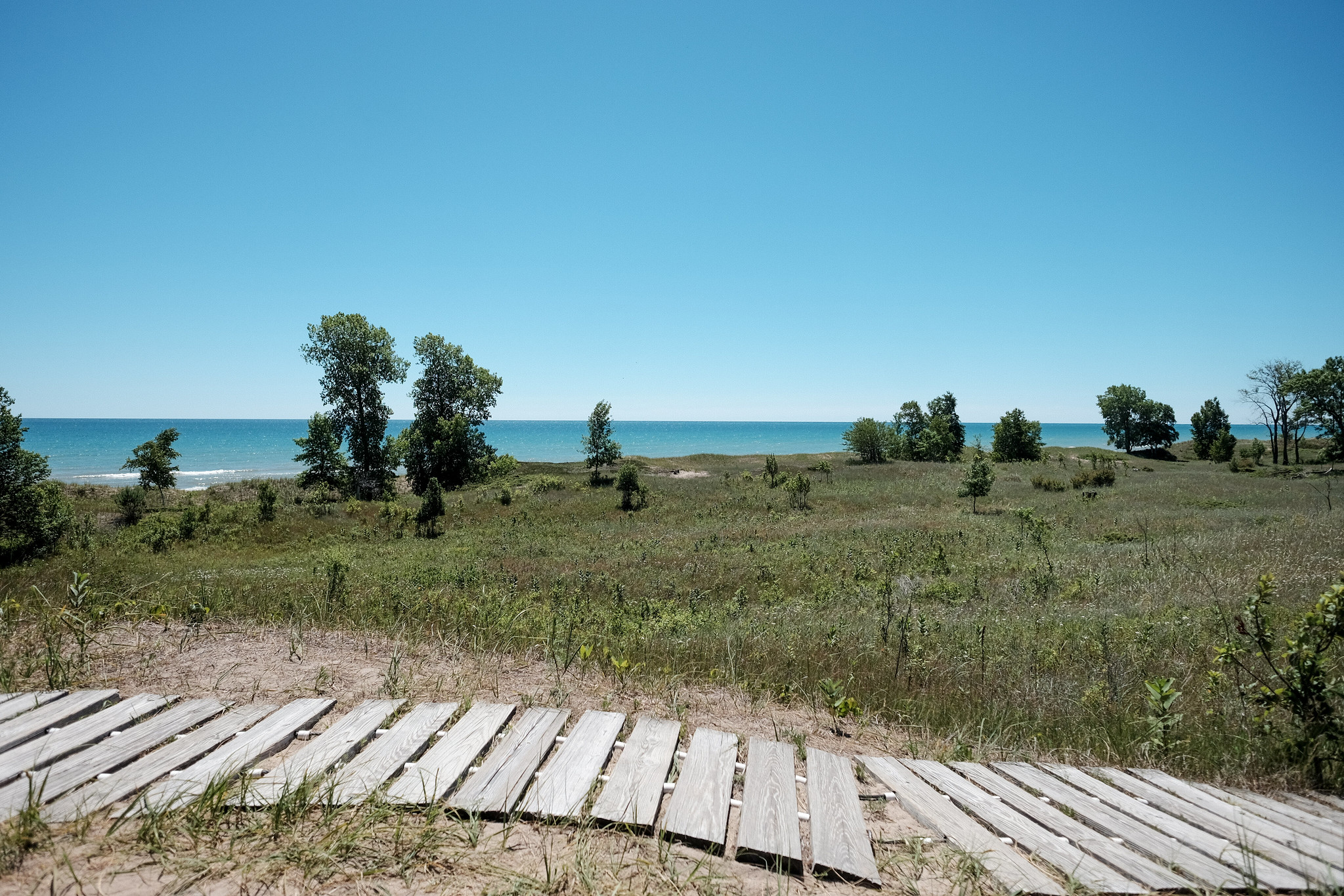 A long wooden cordwalk leads on a grassy sand dune. Lake Michigan is on the horizon. The sky is blue and cloudless.