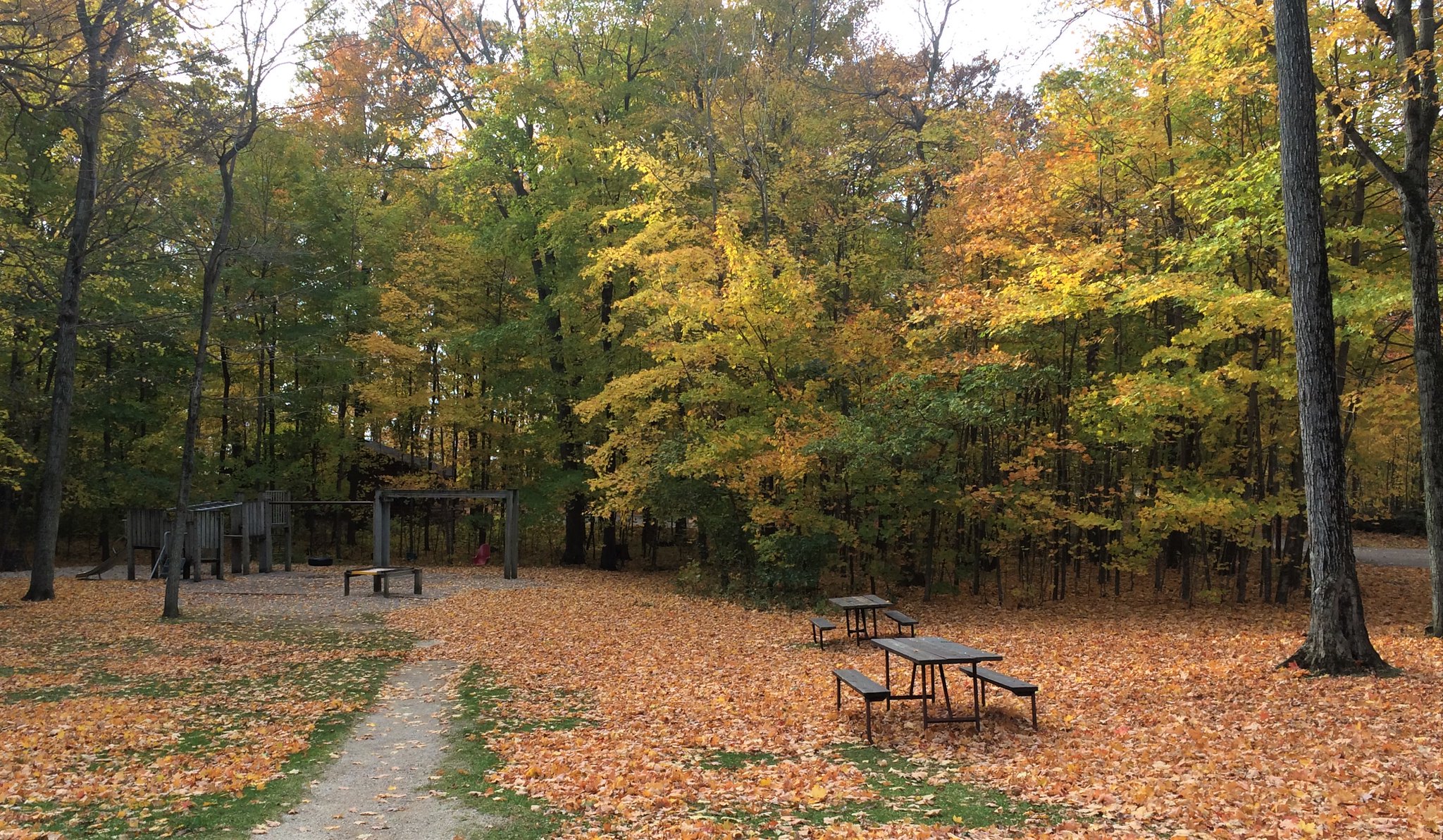 Playground equipment on a bed of woodchips in a park and two picnic tables. Branches of trees with red, orange, and yellow leaves hang overhead.