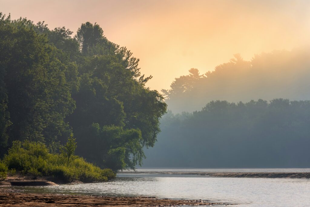 Green trees besides river, with sun shining though a light haze.