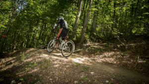 A person riding away from the camera on a mountain bike on a trail in a green forest.
