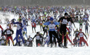 A large group of cross-county skiers with racing bibs are skiing towards the camera.