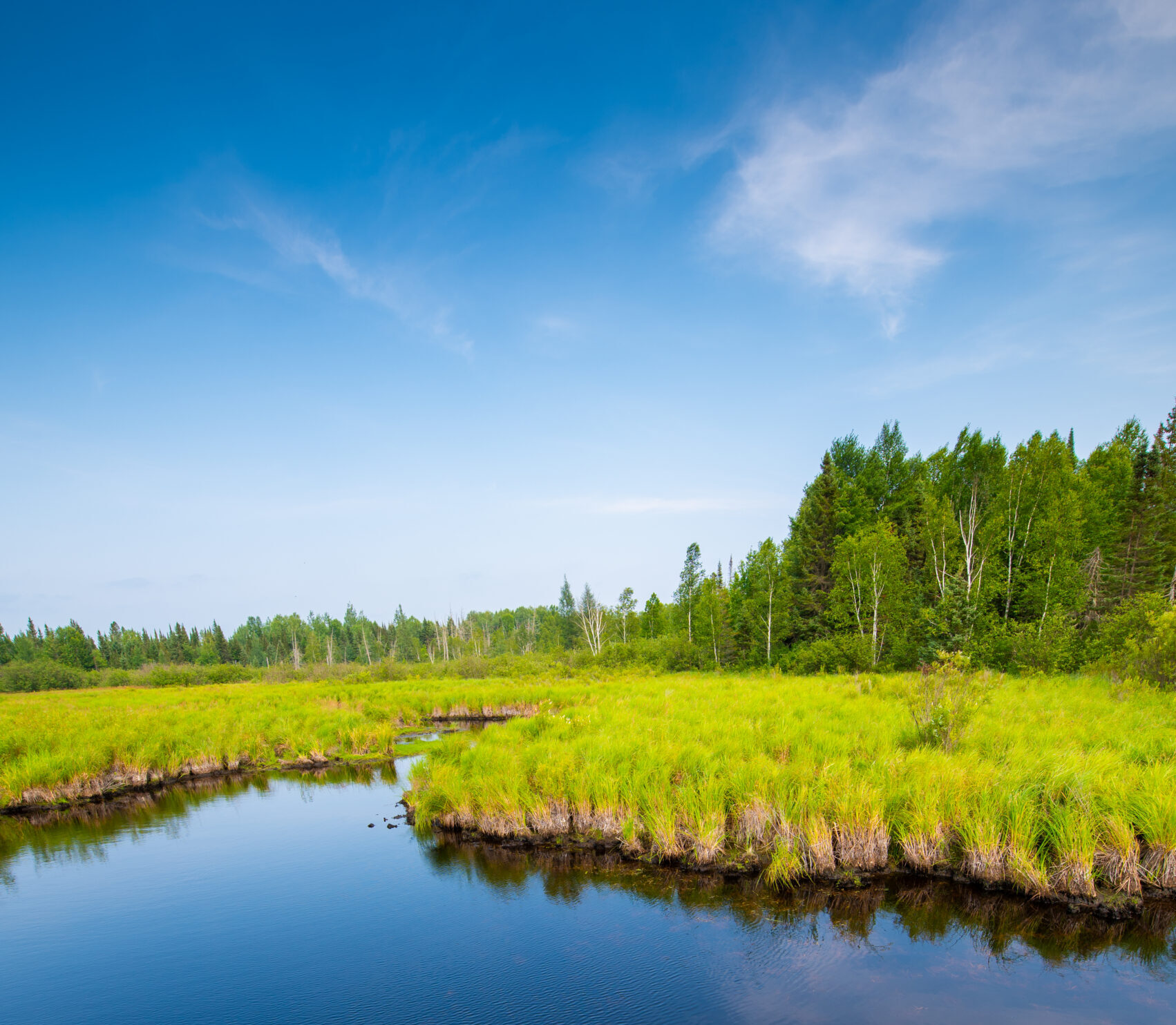 A blue river winding through a lush green meadow and surrounded by forest.