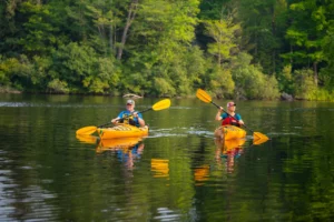 A man and woman paddling along a river in yellow kayaks.