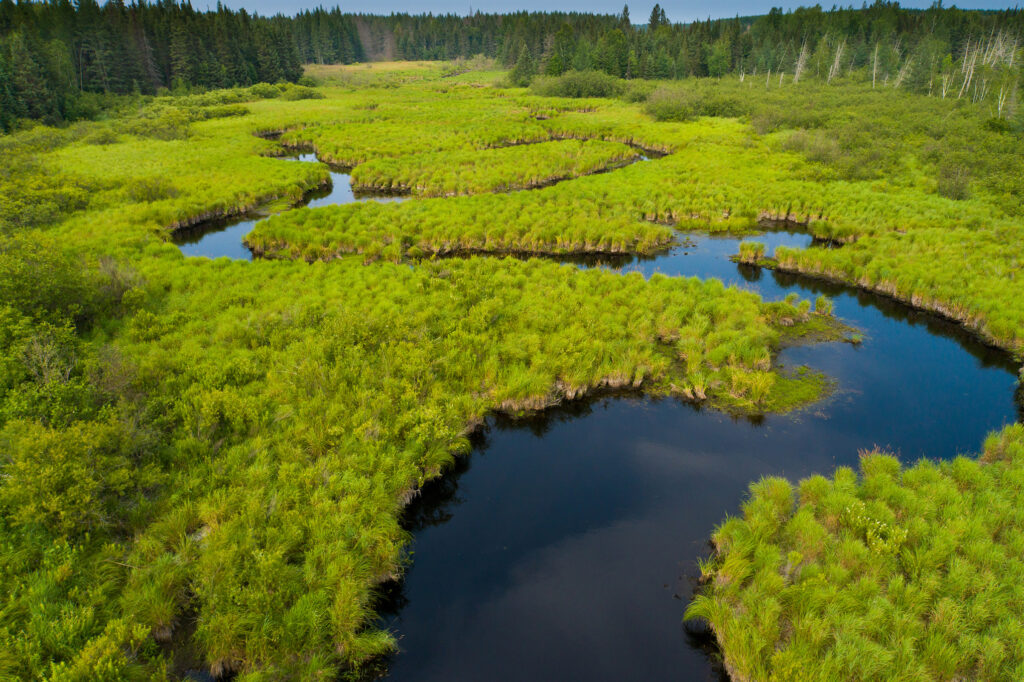 Aerial photo of a river winding through green vegetation.