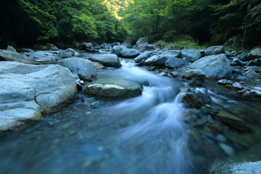 Close up of a river flowing through a green forest, over gray rocks.