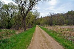 A rural gravel trail lined by trees and farm field.