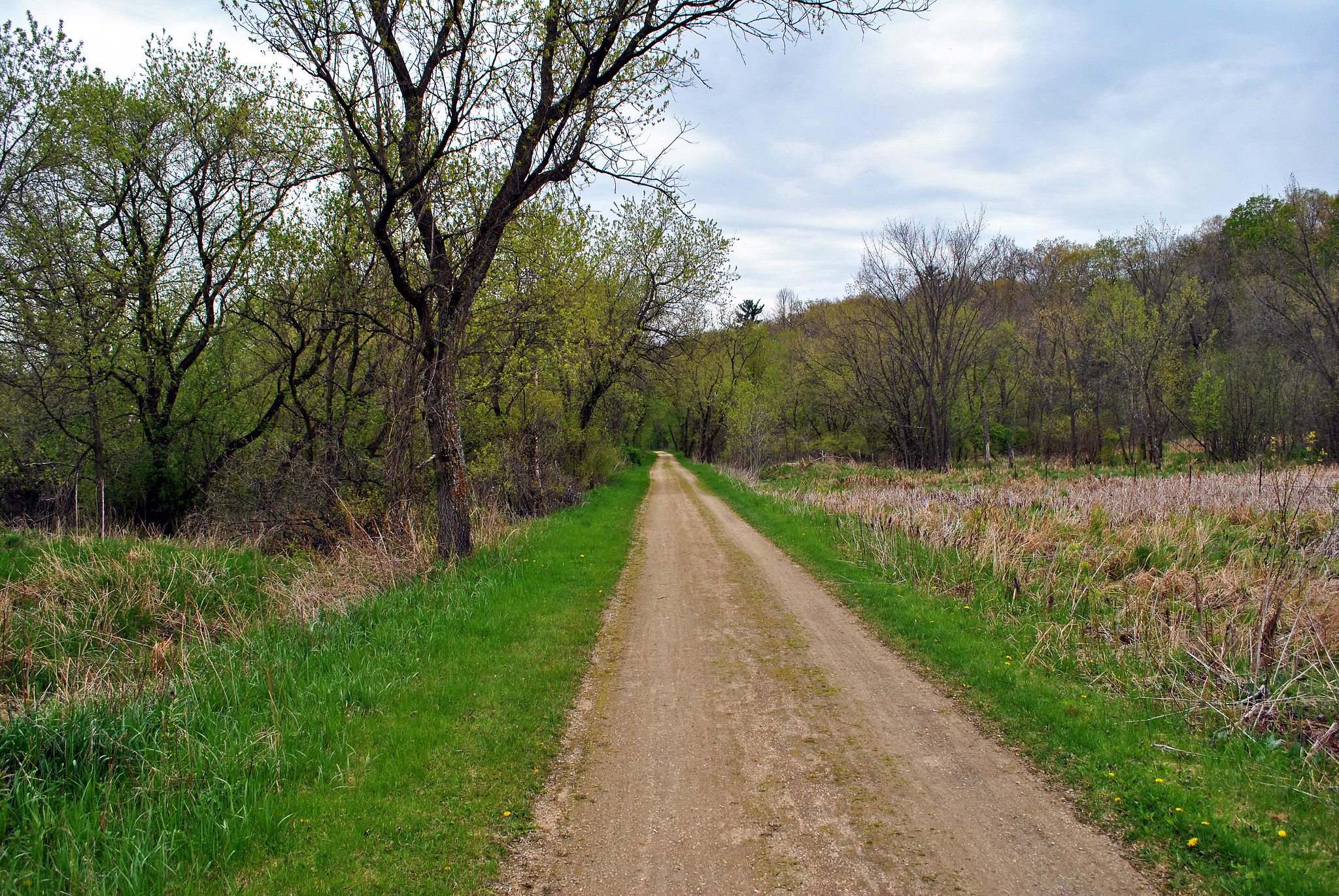 A rural gravel trail lined by trees and farm field.