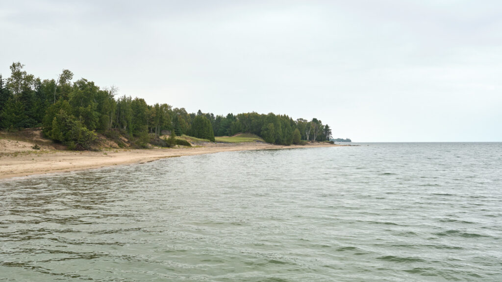 A sandy beach lined with evergreens meets a calm body of water on an overcast day.