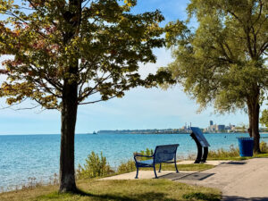 A bench on a paved walkway overlooking a body of water on a sunny day.