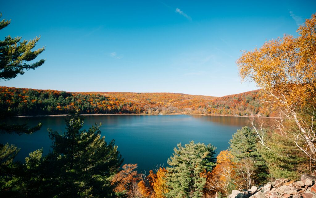 A large body of water surrounded by trees in autumn.