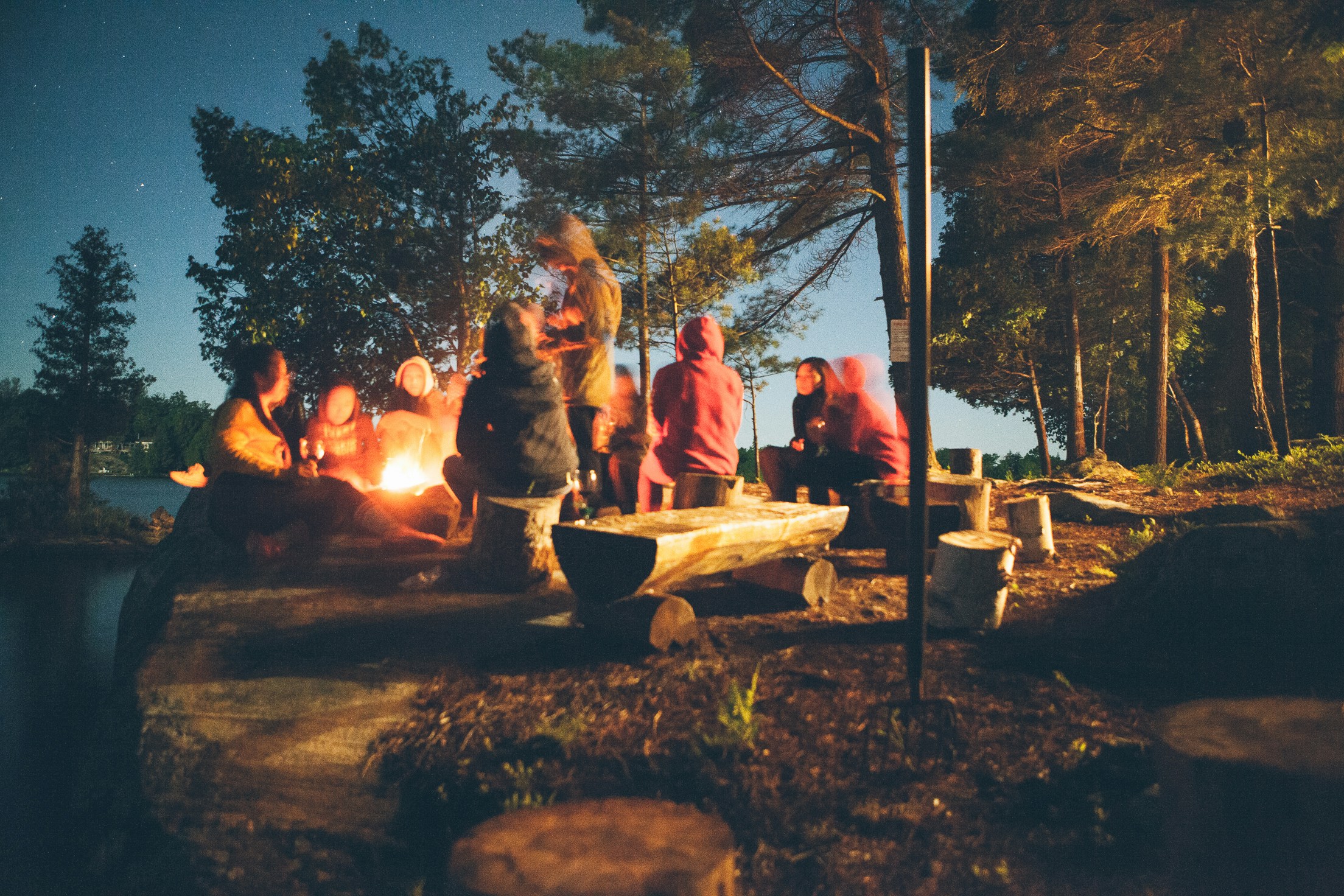 Group of people at a bonfire near trees at nighttime.