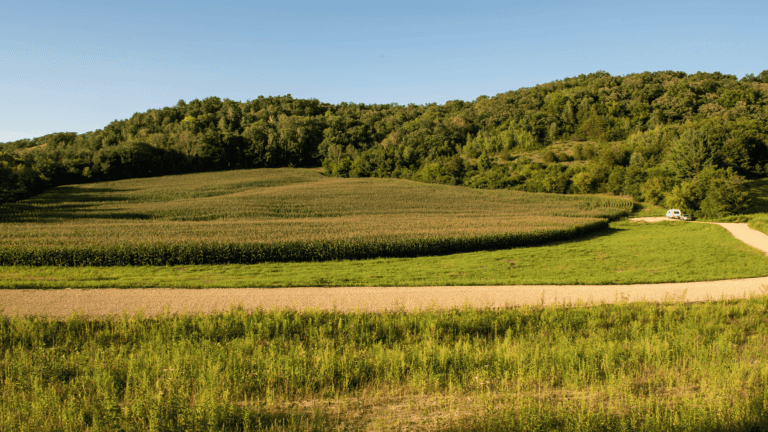 A scenic rural landscape showing a cornfield in the foreground with forested hills in the background, connected by a winding dirt road under a clear blue sky.