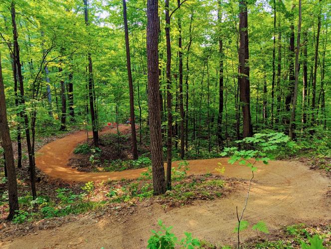 A winding mountain bike trail curves through a lush green forest, with smooth dirt paths weaving between tall trees and dense understory vegetation, showcasing the type of professionally-built "flowy" singletrack trails found at Wisconsin's Timberland Hills trail system.