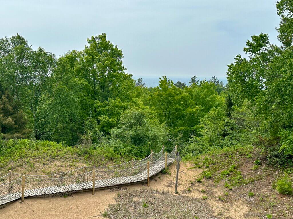 A cordwalk with netting stretched between wooden posts on a sand dune, surrounded by green vegetation and trees under an overcast sky.