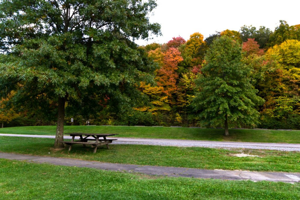 An open park with a picnic table.