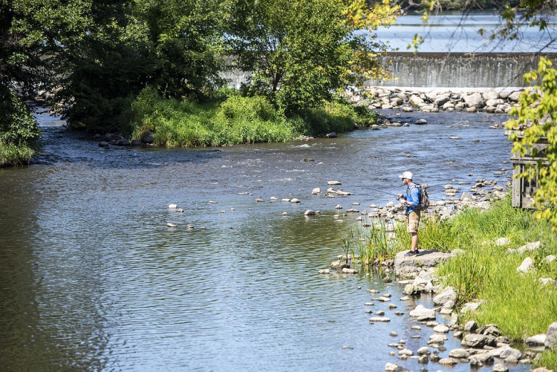 A person stands fishing along a shallow riverbank near a low dam, with rocks and flowing water in view.