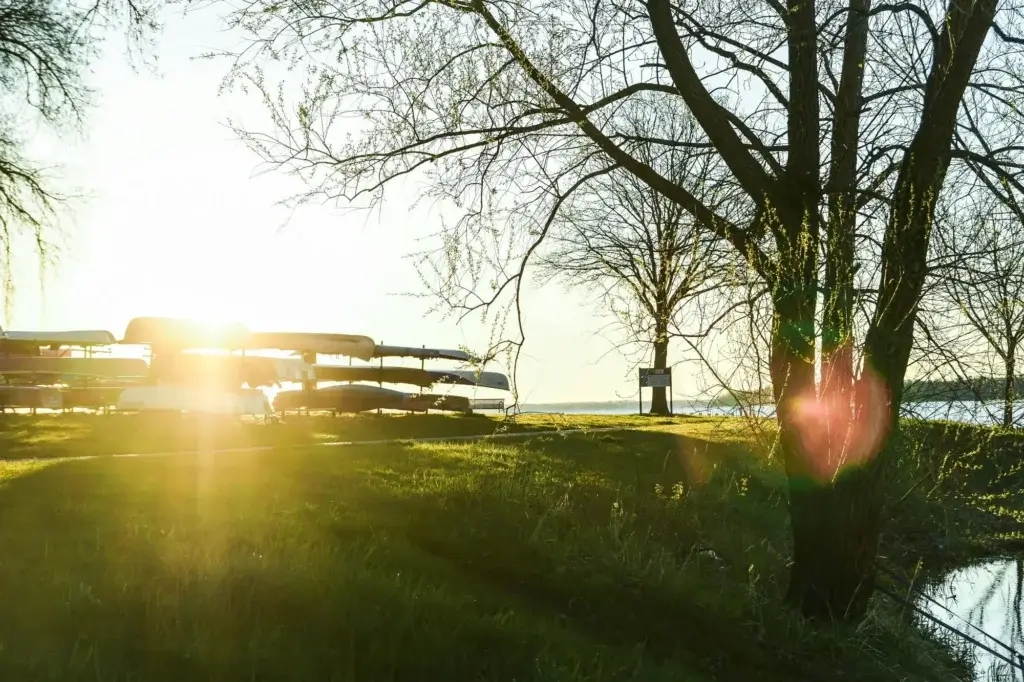 Golden late-afternoon sun flares through bare early-spring trees beside a lake, with a rack of stacked canoes or kayaks silhouetted in the background.